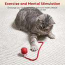 Bola Interativa Inteligente para Cães e Gatos – LED, Recarregável USB e Movimento 360°