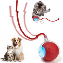 Bola Interativa Inteligente para Cães e Gatos – LED, Recarregável USB e Movimento 360°