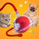 Bola Interativa Inteligente para Cães e Gatos – LED, Recarregável USB e Movimento 360°
