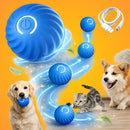 Bola Interativa Automática para Pets