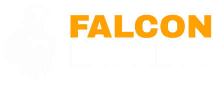 Falcon Express